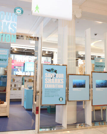 Selfridges Project Ocean 'Save Our Sharks' exhibiton